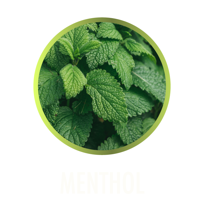 Menthol