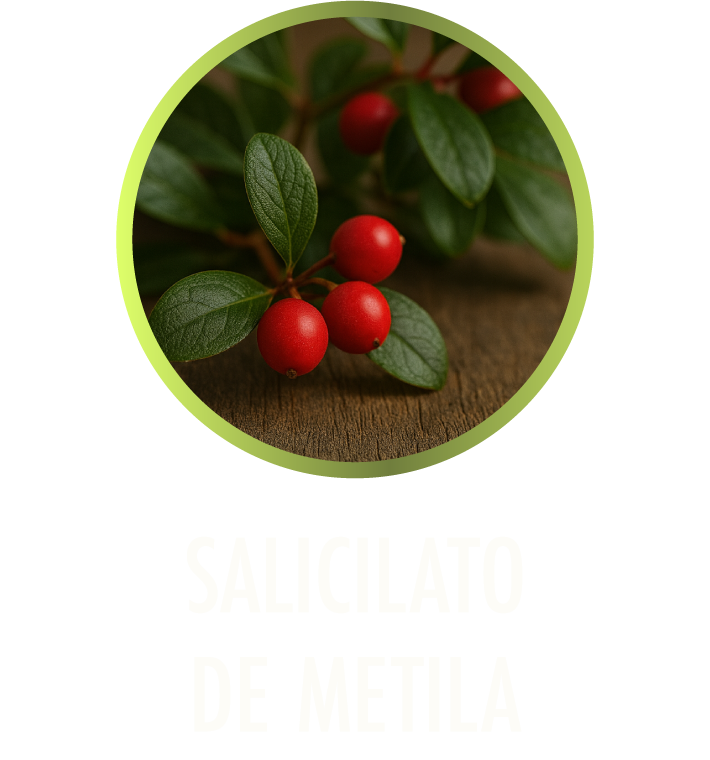 Salicilato de Metila
